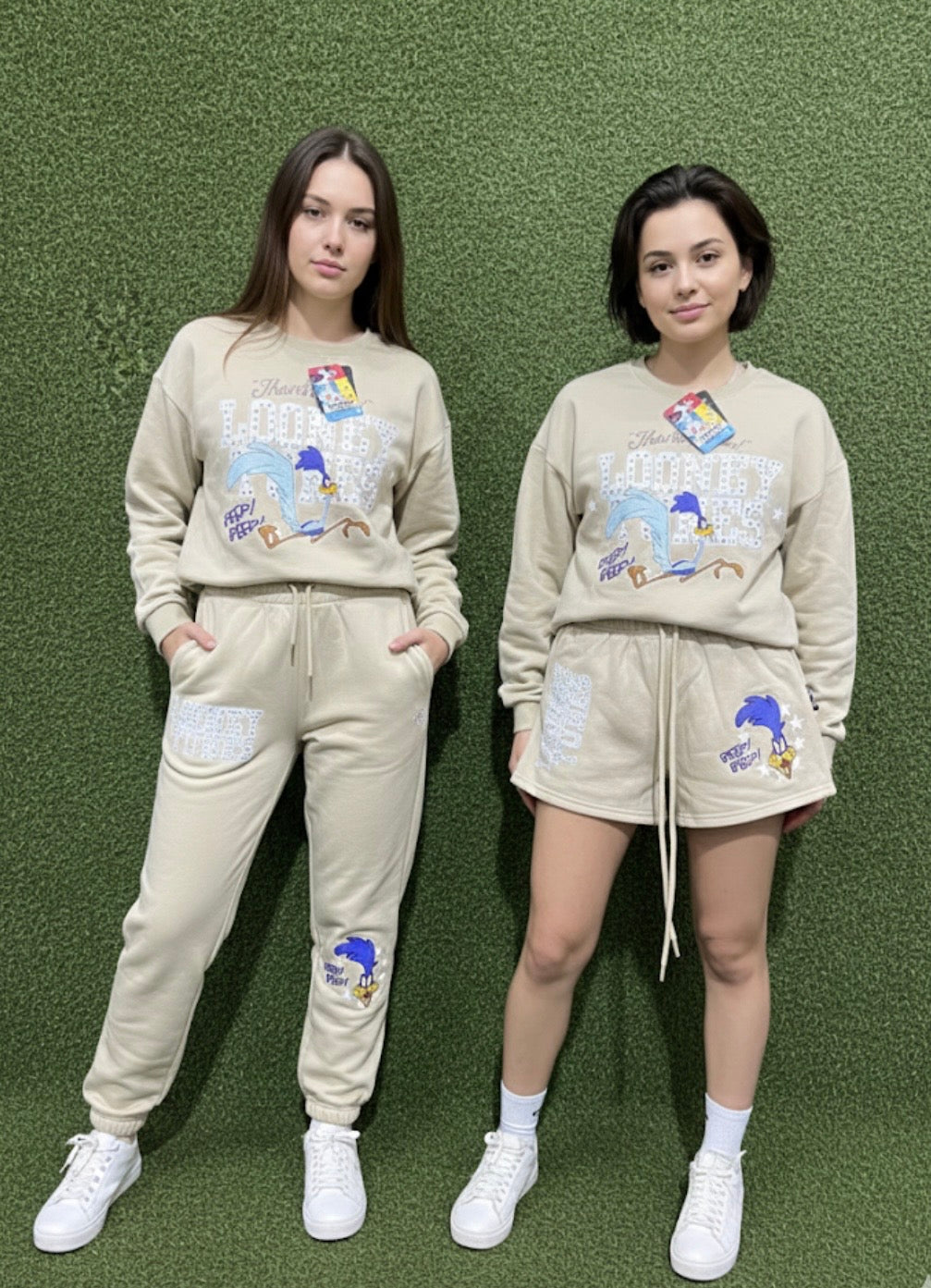 SHORT LOONEY TUNES CORRE CAMINO