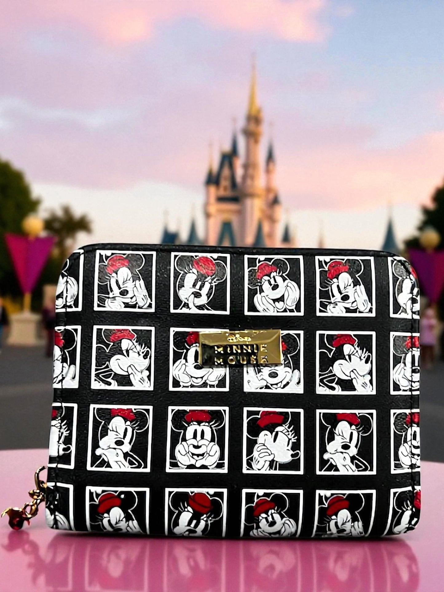Billetera Disney